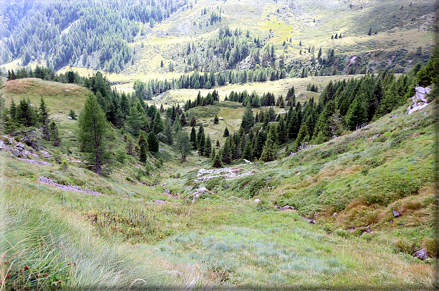 foto Da Forcella Montalon a Val Campelle